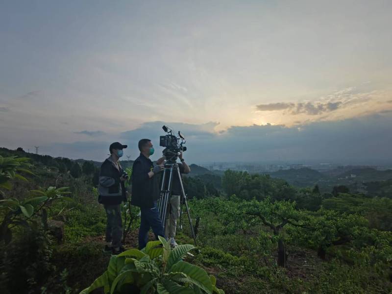创意破圈！安宁区电商产品宣传视频用故事化叙事引爆流量