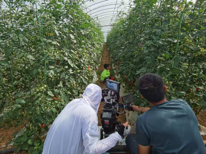 安宁区产品宣传视频拍摄公司进阶指南，助力品牌抢占传播高地